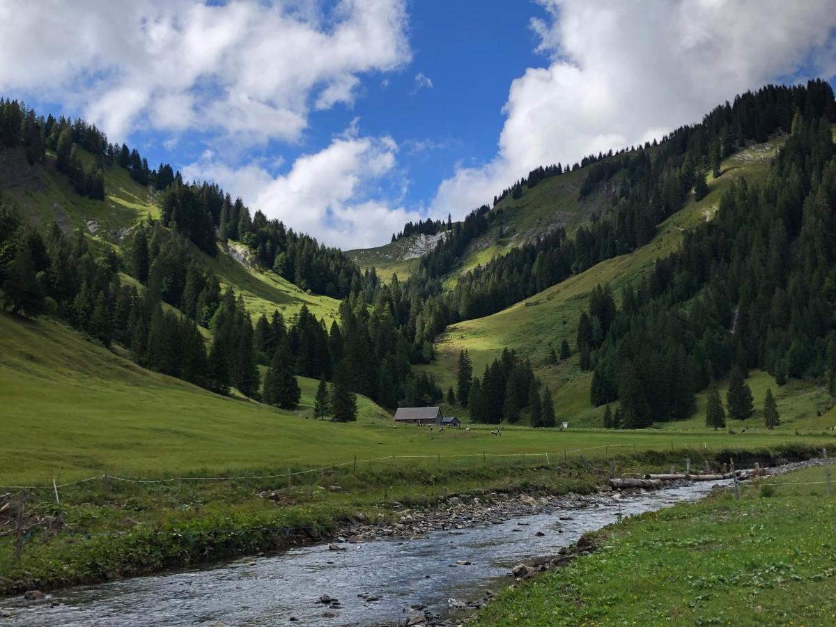 Walli Laterns - Ski Und Bergvergnuegen Direkt Vor Der Haustuer ภายนอก รูปภาพ
