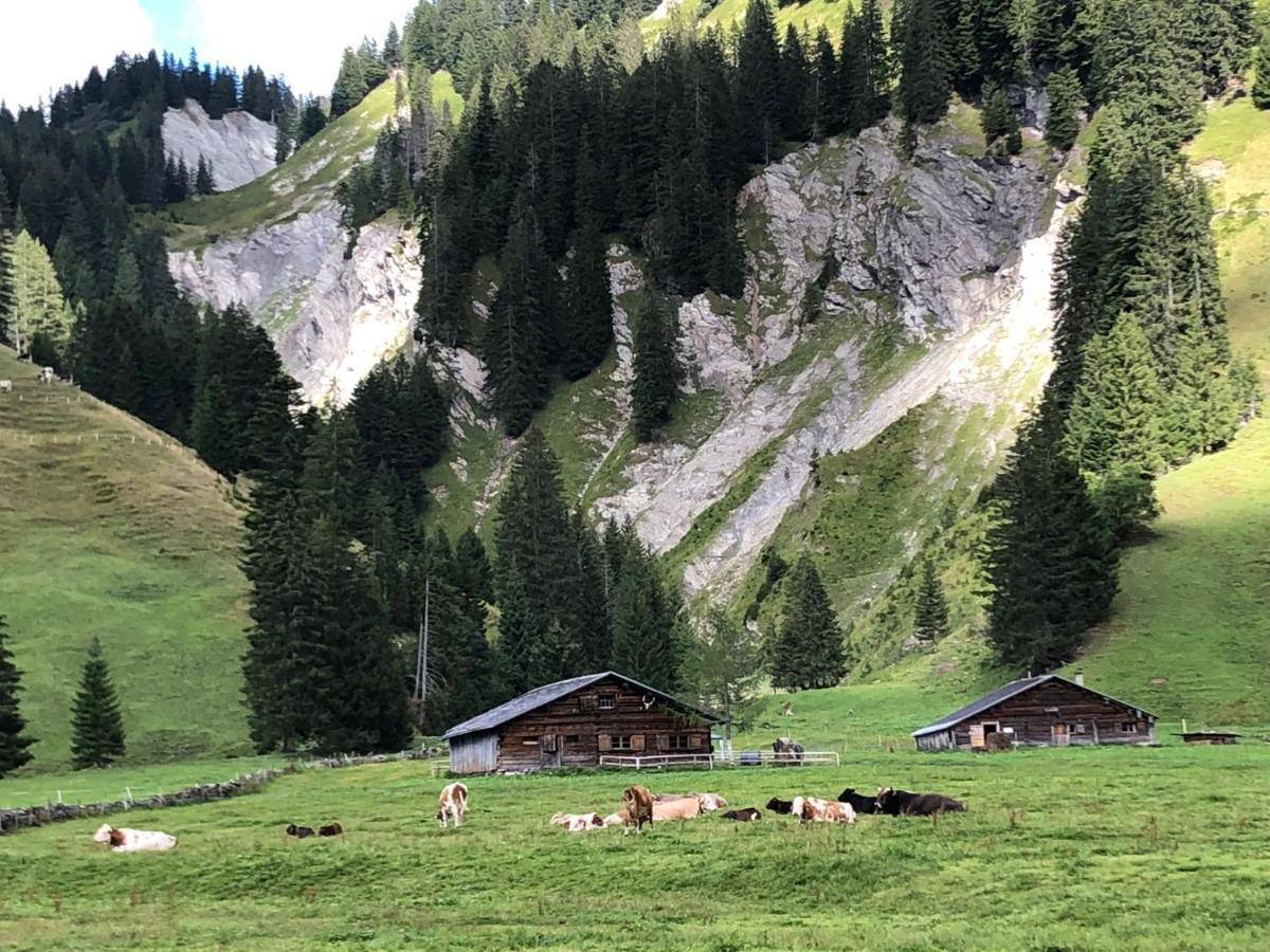 Walli Laterns - Ski Und Bergvergnuegen Direkt Vor Der Haustuer ภายนอก รูปภาพ